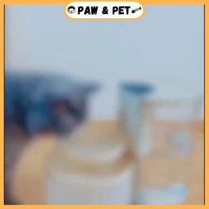 3L Wireless Automatic Pet Water Fountain Rechargeable Smart Water Feeder Cat & Dogs Water Dispenser