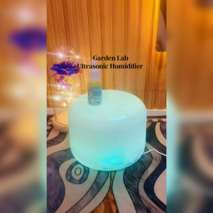 Remote Control 500ML Air Humidifier Essential Oil Mist Maker