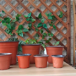 【Buy 10 Take 10 Free】TL77 Plastic Flower Pots Seedlings With Drainage Holes Durable Premium Flower Pots Lowest Price For Plastic Flower Pot Seedlings Plant Nursery Suitable Paso For Plant