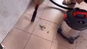 Vacuum Cleaner 18L 3in1 / 2in1 Vakum/Air Hisap/Blower Sedot Debu Basah Kering Vacum Blower Wet Dry Penyedot Debu