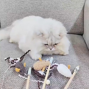 PE-594 ไม้ตกแมว ตุ๊กตาหนู  ของเล่น สุดคิวท์ น่ารัก ฝึกทักษะ ราคาถูก พร้อมส่ง🐀