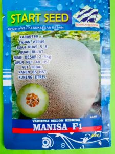 Benih Melon Varietas Super Manis MANISA F1 isi 800 biji dari Start Seed MANTAB