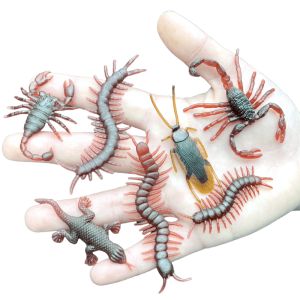 Prank Scaring Miniature Insect and Animal Toys