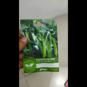Benih Biji Bibit Kacang Kecipir Green Winged Bean Mix Garden Seed - 1 Pcs