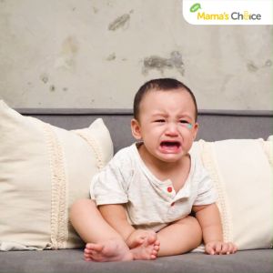 Baju Jumper Bayi - Baby Jumper Mamas Choice