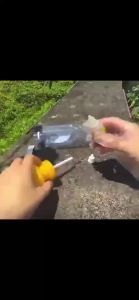 สารล่อแมลงทอง เมทิลยูจินอล (METHYL EUGENOL)ดักจับแมลงวันทอง ขนาด 20ซีซี