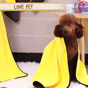 Luka😊พร้อมส่ง💯 ผ้าขนหนูสัตว์เลี้ยง เช็ดขนแมว เช็ดขนสุนัข ผ้าไมโครไฟเบอร์ ผ้าซับน้ำอเนกประสงค์ ผ้าขนหนูสุนัข ผ้าขนหนูแมว