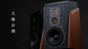 Swans Speakers M300MKII Powered Bookshelf Speaker 5.0 Bluetooth Speaker Supporting Optical/Coaxial/Line6.5 inch woofer 藍牙音箱