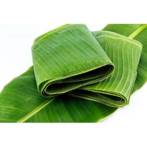 Daun pisang segar 2 tangkai