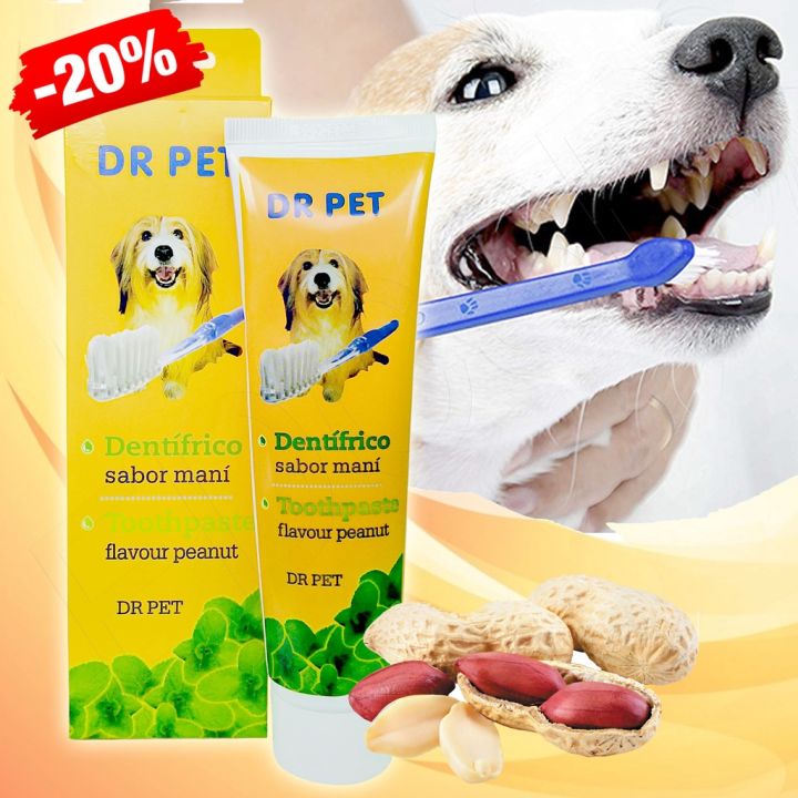 Dr Pet Peanut Flavor Toothpaste for Dogs (100g) Pet Dog Peanut Flavor