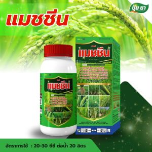 แมชชีน แตกราก แตกกอใหญ่ ออกสุดรวง คีเลต อะมิโน+สาหร่าย อะมิโนข้าว ฮอร์โมนข้าว ปุ๋ยยา