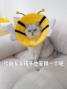 READY STOCK Pet Protective neck cat Dog neck collar Elizabeth collar