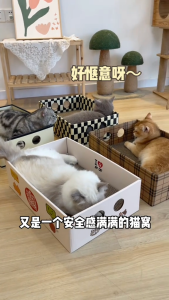 💯PG🥊 Cat Scratch Board Cat Toy Cat Scratching nest No Stick Claw Cat Kitten Toy Cat Scratch House Fun Claw Scratching Carton Box