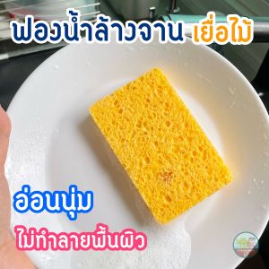 ฟองน้ำล้างจานเยื่อไม้ ไม่ทำลายพื้นผิว เป็นมิตรกับผิว ดูดซับน้ำดี สำหรับทำความสะอาดเครื่องครัว ขนาด 7x11 ซม หนา 1 ซม