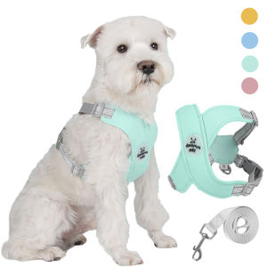 Sentexin Pet Harness Reflective Dog Harness and Leash Set for Small Meidum Dogs Cats X Shaped Adjustable Vest Chest Strap French Bulldog