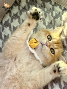 Handmade Knitted Silent Bell Dog Collar Large Breed Pet Scarf Cat Necklace DIY Noisy Free Shipping Universal Size Pet Accessories