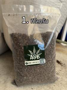 ดินปลูกแคคตัส ดินดีมีชัยไปกว่าครึ่ง ปรุงให้อร่อยแบบไม่ต้องปรุงเพิ่ม แบ่งขายเป็น กิโลกรัม 123 มาเสิร์ฟถึงหน้าบ้านแล้ววันนี้