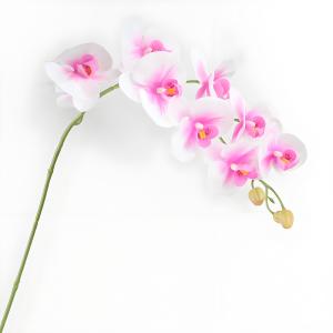 Bàn Hoa Nhung Giả Hoa Bướm Cao Cấp Trang Trí Nhà Đám Cưới Hoa Tươi Nhân Tạo Hoa Nhung Trang Trí Không Khí Tươi Mới