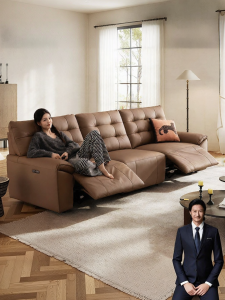 Electric Retro Style New 2026 Leather Sofa