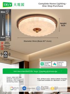 DGY | Vintage French Style Ceiling Light