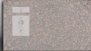 Vietnam Trung Nguyên Legend Classic Coffee/Cà phê (50 Sachets x17g)-HALAL