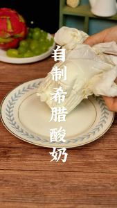 Bisour Greek Strained Yogurt Starter Agent Culture Powder Flour (1g x 10)