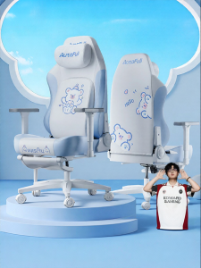 Womens Ergonomic Chair