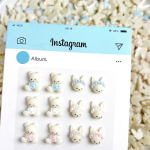 30 Món Trang Trí Móng Tay Hình Thỏ Dễ Thương Nhiều Màu Sắc 3D Nhựa Resin Gấu Béo Dễ Thương Mặt Dây Chuyền Acrylic Trang Trí Móng Tay Tự Làm