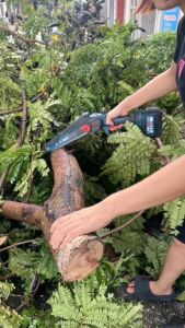 Máy Cưa Xích Chạy Pin Boshun Động Cơ Từ Không Chổi Than Bảo Hành  6 Tháng