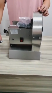 Viocky Commercial Stainless Steel Electric Fruit & Vegetable Slicer for Lemon Ginger Radish Potato