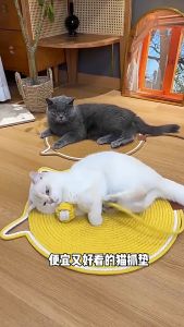 Pet Cotton Linen Lying Mat Dog Cat Scratching Mat Woven Cotton Rope Cold Pad Self Playing Ball