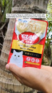 All Stages Adult Kitten 40g Ciao Pouch Creamy & Soup Fillet Cat Wet Pouch Food