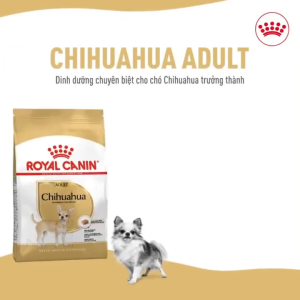 Thức ăn hạt Royal Canin Chihuahua Adult 1.5kg dành cho chó Chihuahua trưởng thành- DATE XA