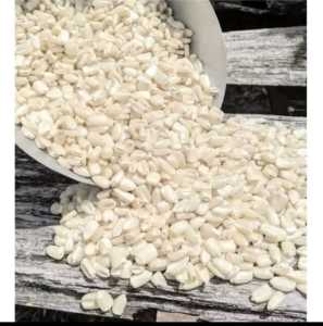 BENIH JAGUNG PUTIH JUMBO KEMASAN 1 KG SIAP TANAM