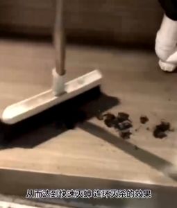 【พร้อมสต็อก|ส่งจากกทม】 ยาแมลงสาบ8เม็ด⚡1คืนเห็นผล✅ฆ่าทั้งรัง+ไข่🏠ใช้ครัว-ห้องน้ำ🐶ปลอดภัยคน-สัตว์เลี้ยง