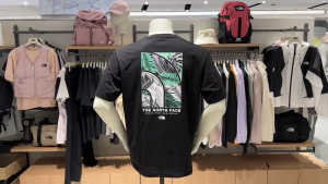 The North Face Ever Green V2 T Shirt (2025New)