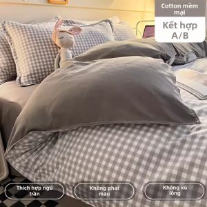 KAMONI | Drap Giường Đơn Sinh Viên 100% Bông