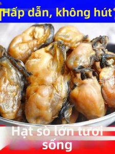 Dầu Chưa Tinh Lọc Hào Sấy Khô Hải Sản