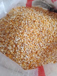 TERMURAH JAGUNG PECAH KEMASAN 5 KG DAN 10 KG MURNI TANPA ADA CAMPURAN DAN BAHAN PENGAWET COCOK UNTUK PAKAN BURUNGAYAM DAN SEJENISNYA