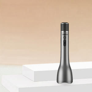 Handheld Bluetooth Speaker Integrated Microphone Takstar DA12 Amplifier for Speech K-Song Expansion Guangdong China 12 Months Warranty
