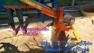 Máy xay chuối mịn nguyên cây động cơ 2HP lõi đồng 100% bảo hành 12 tháng