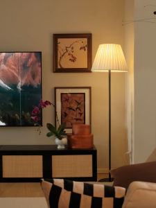 DGY | Warm Decorative Bedroom & Living Room Floor Lamp