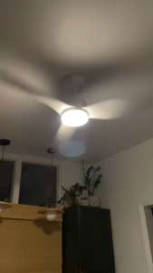 52-inch ceiling fan with white ABS blades acrylic shade silent DC motor 6-speed reversible and timer. Perfect for living rooms dining rooms bedrooms and other home spaces.