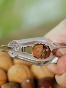 Pembuka Kerang Clam Opener Seafood Cracker Nut Cracker Practical Kitchen Opener Tools