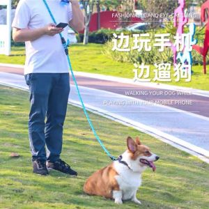 2.6 meters long Explosion Proof Nylon P-shaped Leash Slip Lead Dog Leash Adjustable Dog Harness Durable Rope Dog Walking Training Pet Collar Reflective Leash one piece slip lead leash