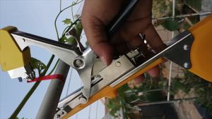 Tapetool: Alat Pengikat Tanaman Praktis & Mudah Digunakan