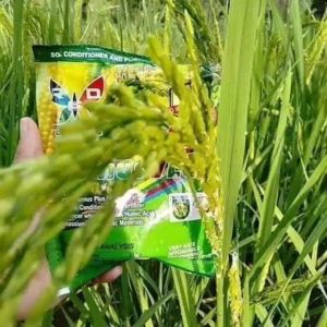 Grand Humus Plus 2027 Expiration 100% Organic Plant and Soil Enhancer.