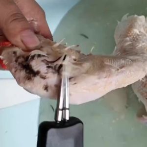Electric Feather Plucker Quick Chicken Hair Removal Machine Handheld Automatic Duck Goose Feather Plucker Animal Hair Catcher