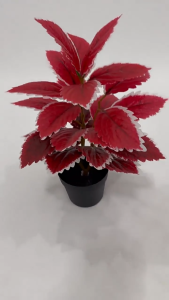 พร้อมส่ง ต้นไม้ปลอม ต้นฤาษีผสม 3สี สูง 30 ซม. 28 ใบ