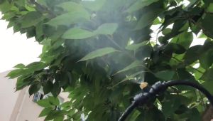 หัวพ่นหมอกทองเหลือง 0.1-0.8 มม. 10ชุด ทนทานหมอกละเอียด แถมEnd plug1อัน สำหรับ พ่นหมอก พ่นละอองน้ำ ล้างฝุ่น ลดร้อน หมอกละเอียดฟุ่ง